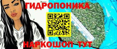 гидропоника Кулебаки